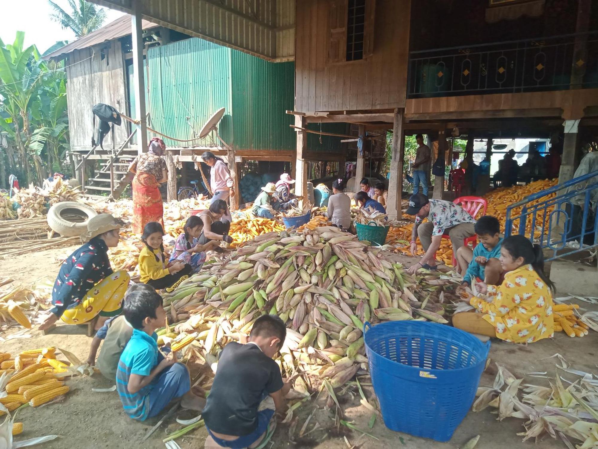 Tonle Mekong Homestay Krong Kracheh Eksteriør bilde
